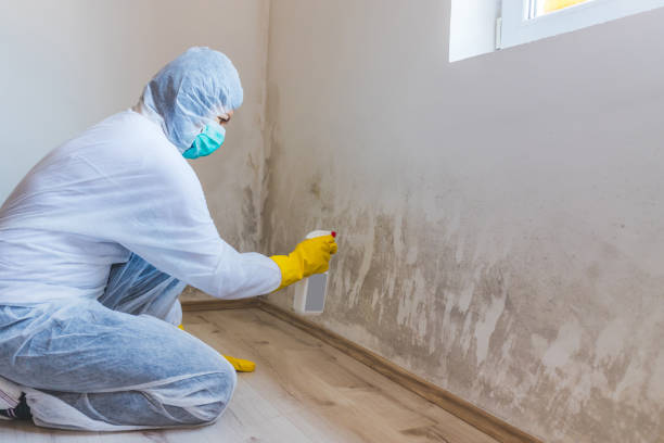 Commercial Mold Remediation assessment for commercial property in Immaculata